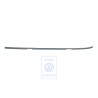 VW Original Liston Techo Imprimado - 6K0853701C GRU