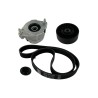 SKF Juego De Correas Trapeciales Poli V - VKMA 31210