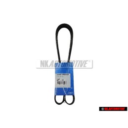 SKF Correa Trapecial Poli V - VKMV 6PK1660