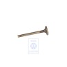 VW Original Valvula De Admision - 036109601B