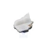 VW Original Cerradura De La Puerta - 6N4839015B