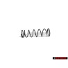 VW Original Muelle Presion - 251721268