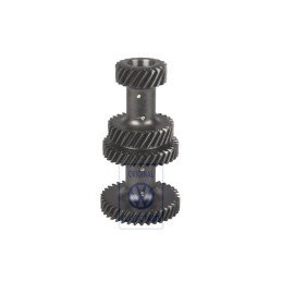 VW Original Tren Engranajes - 008311421G