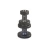 VW Original Tren Engranajes - 008311421G