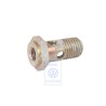 VW Original Tornillo Hueco Con Filtro - 035133505