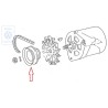 VW Original Polea Correa Trapezoidal - 035903119D