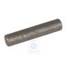 VW Original Pieza Suprimida - 113309521A
