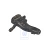 VW Original Mangueta - 251407108