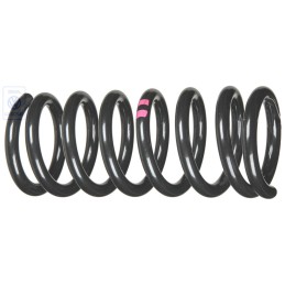 VW Original Muelles Helicoidales Trazos Color Violeta - 251411105F 952
