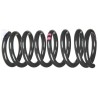 VW Original Muelles Helicoidales Trazos Color Violeta - 251411105F 952