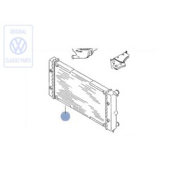 VW Original Radiador Para Refrigerante - 321121253BL